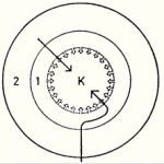 Theoretische Lösung 01