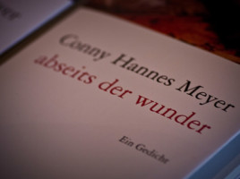 Conny Hannes Meyer - Werke
